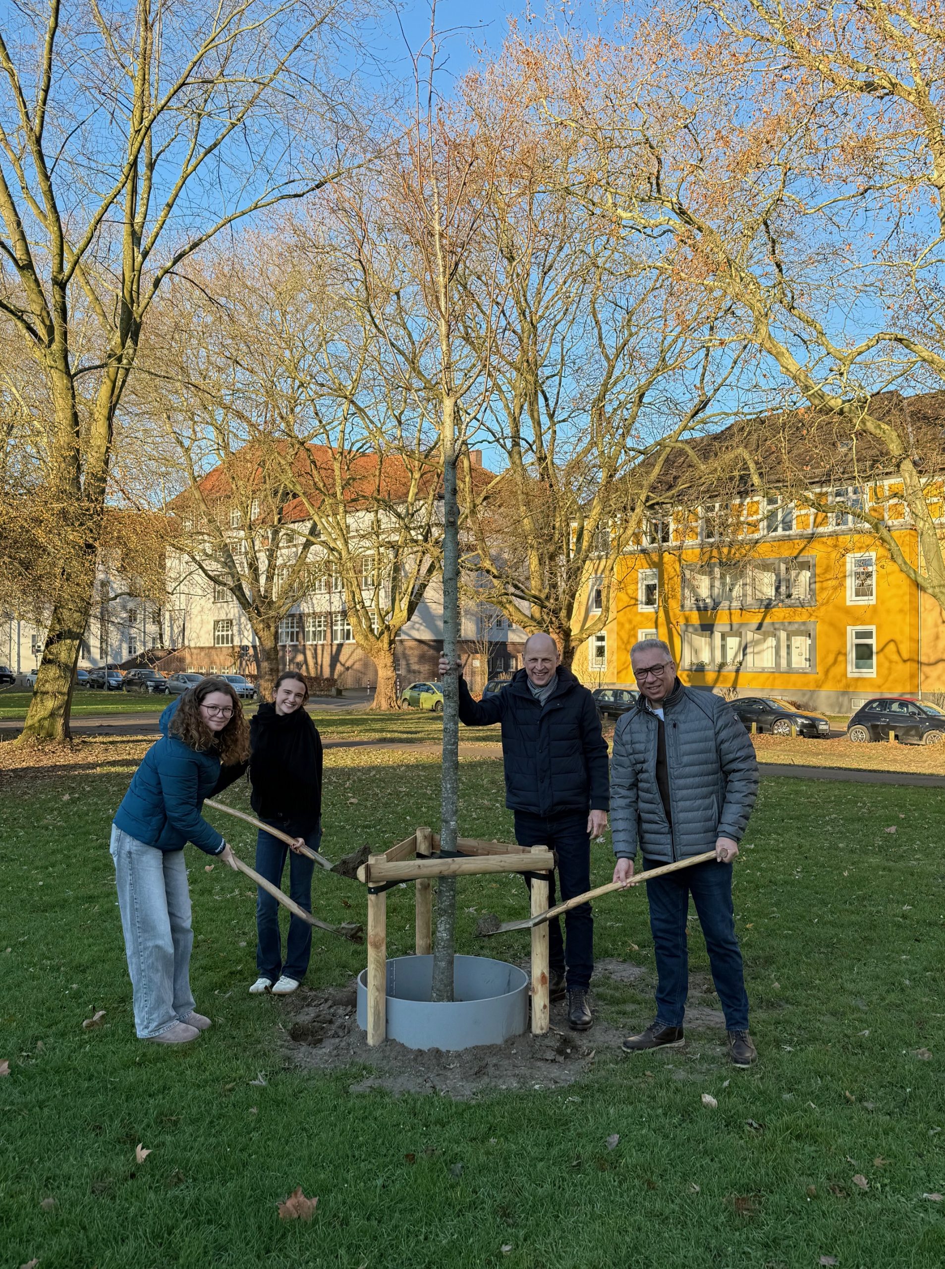 Sie betrachten gerade Nachhaltigkeit sichtbar gemacht: Eine Linde für unsere Schule 🌳