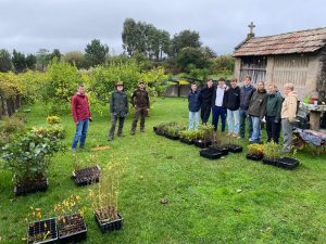 Mehr über den Artikel erfahren Europa erleben und Umwelt schützen: Aufforstungsprojekt in Galizien