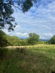 Mehr über den Artikel erfahren Rhön-Fahrt der Jahrgangsstufe 9